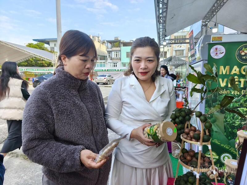 Sản phẩm mắc ca Việt Hà thu hút sự quan tâm của người tiêu dùng và du khách