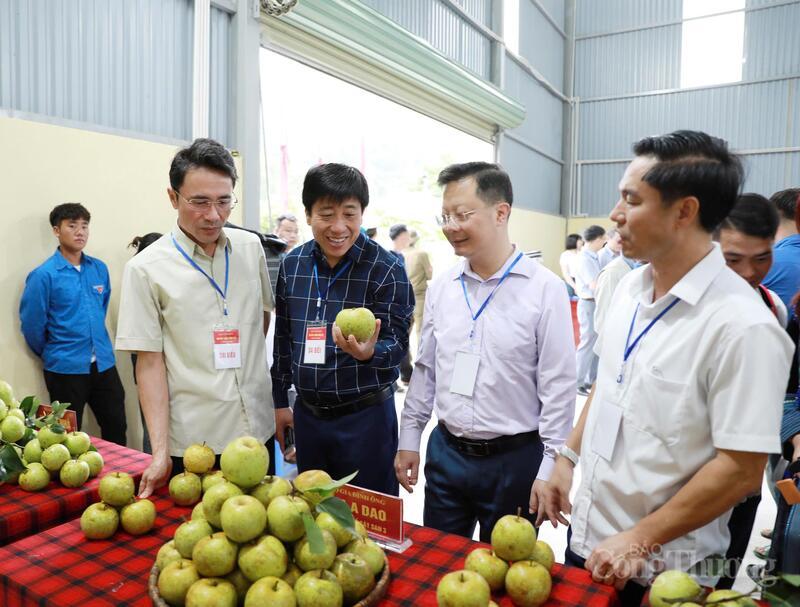 Ngày hội hái lê tạo cơ hội kết nối giữa người dân với doanh nghiệp, hợp tác xã trong và ngoài tỉnh, mở rộng liên kết sản xuất và tiêu thụ nông sản.